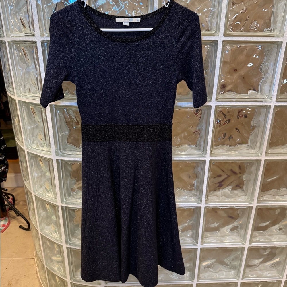 Boden Milano sparkle dress